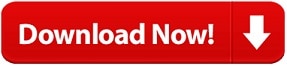 Download the free essay guide PDF